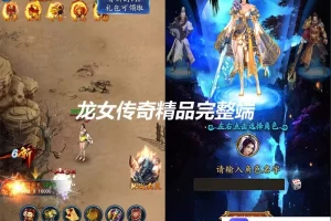 【龙女传奇】网游单机一键端版 VIP15转生带后台-快达源码网