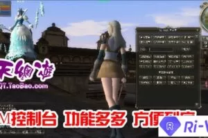 【芙蕾雅天堂2】 第十章网游单机版 简单傻瓜一键端 带GM控制台-快达源码网