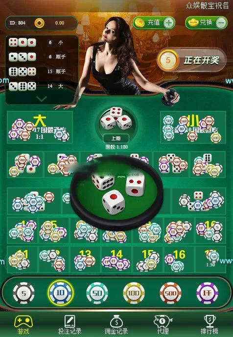 【运营服务器打包】骰宝最终幻想宝塔版本-快达源码网