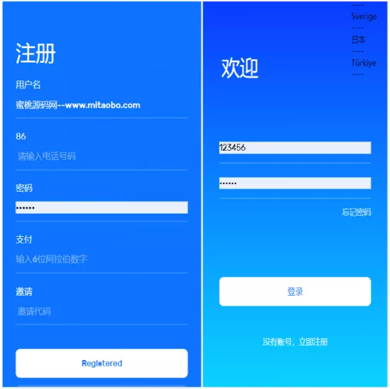 【亚马逊抢单源码】自动抓取订单任务邀请英文+西班牙语可自动切换语言-快达源码网