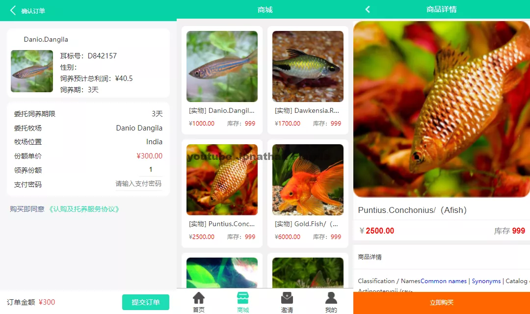 图片[1]-【双语言】养鱼金融投资理财源码支持商城抽奖投资收益余额宝等-快达源码网-kdymw.com专注分享各类网站源码