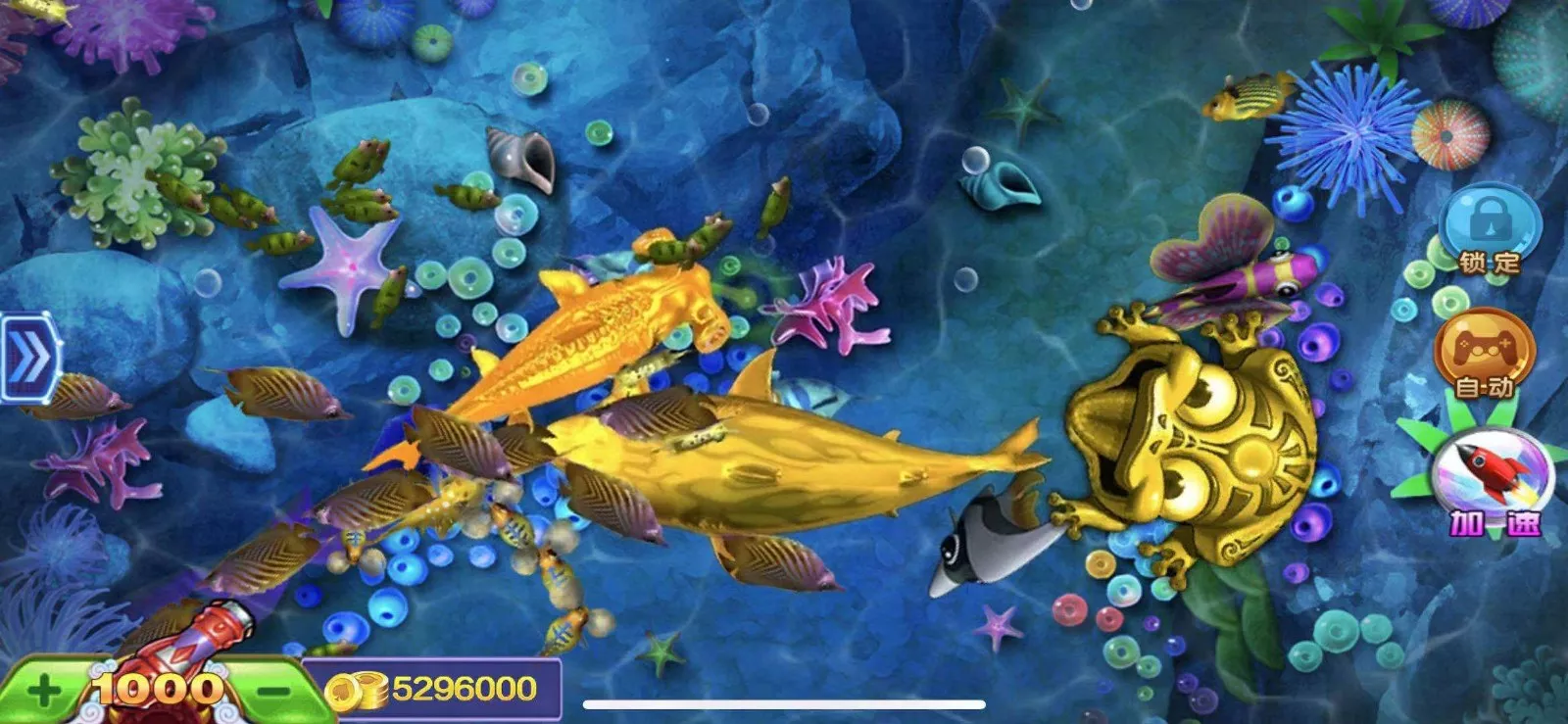 图片[1]-【完整版大富豪二开】带控分稳定+UI漂亮+服务器完整打包+带服务端搭建教程-快达源码网-kdymw.com专注分享各类网站源码