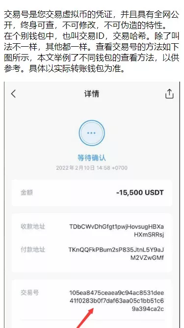 图片[1]-【编译版】10国多语言+trx理财-快达源码网-kdymw.com专注分享各类网站源码